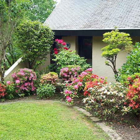 Jardin Des Chats Sevignacq-Meyracq ภายนอก รูปภาพ