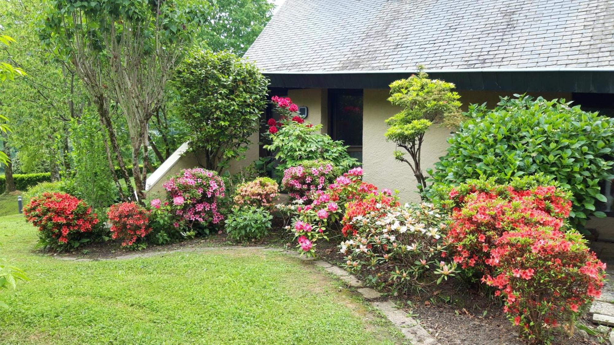 Jardin Des Chats Sevignacq-Meyracq ภายนอก รูปภาพ